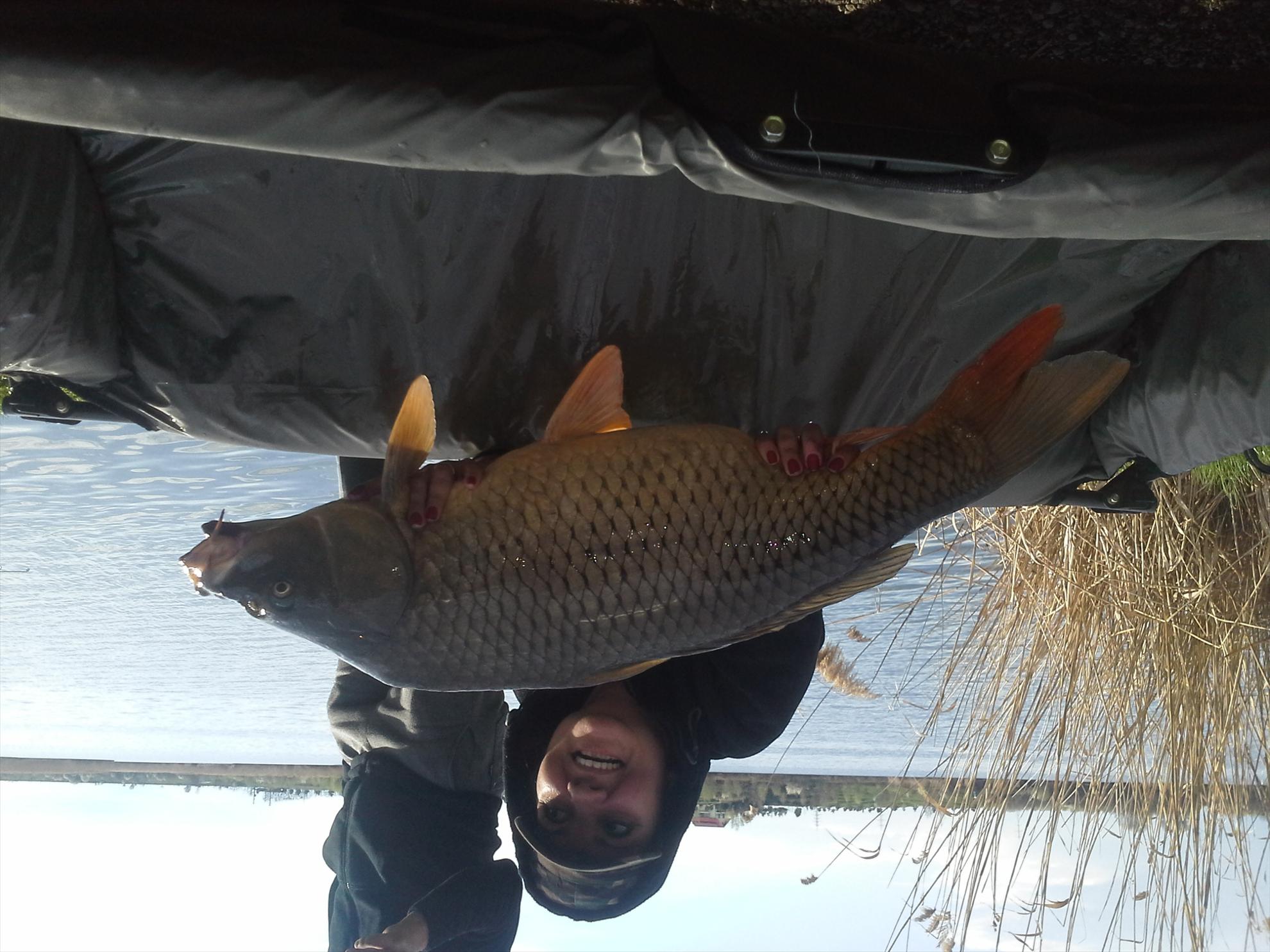 Pescuit la crap - 2013041417355911.jpg